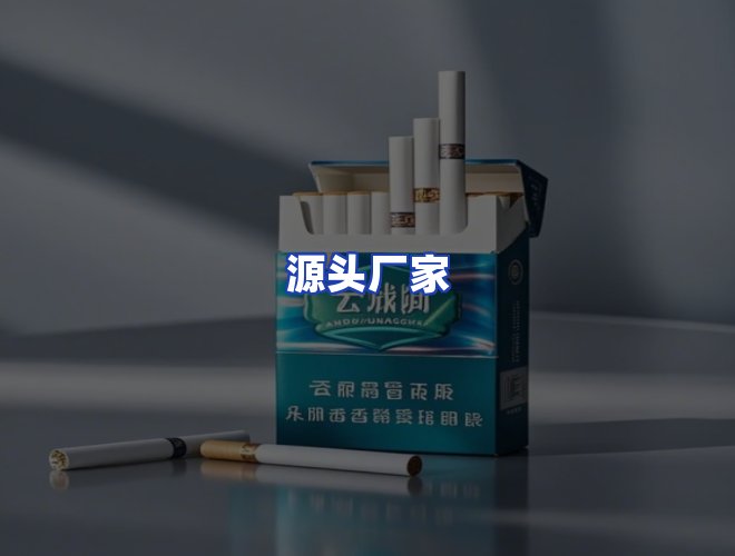 专业团队